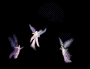 Tiny Fae