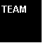 ZE TEAM!