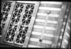 dunedin city patterns