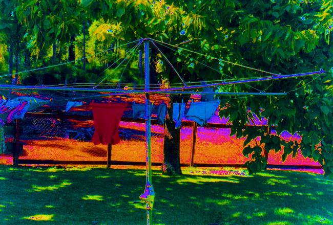 hills hoist art