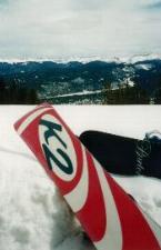 the boards