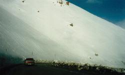 plenty of snow