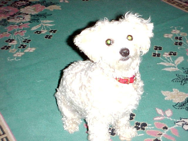 Brandy
