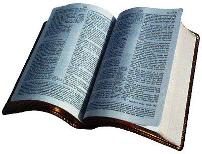 "invalidando assim a palavra de Deus pela vossa tradi��o que v�s transmitistes; tamb�m muitas outras coisas semelhantes fazeis." Marcos. 7. 13.