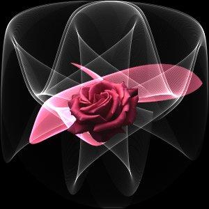 "EU sou a rosa de Sarom, o l�rio dos vales." Cantares 2. 1.