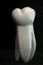 toothrot.gif (47865 bytes)