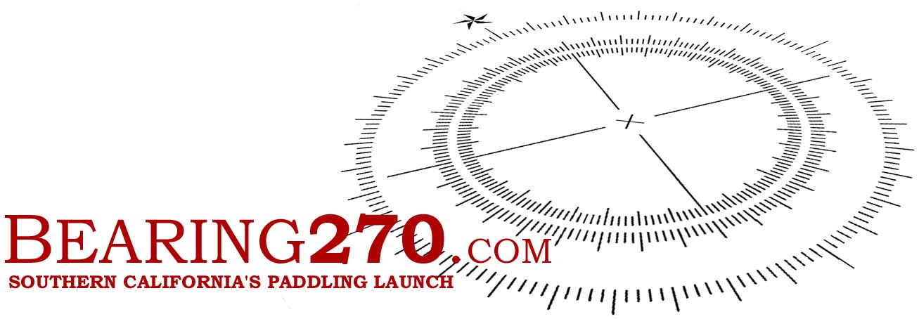 logo5.jpg