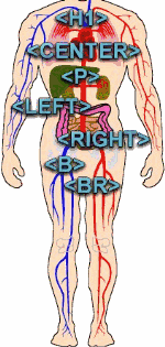Dentro do Corpo
