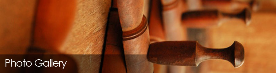 photogallery
