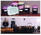 dulces.jpg (8087 bytes)