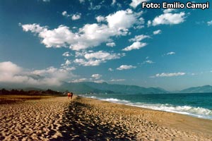Praia do Capric�rnio