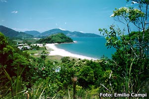 Praia da Cocanha