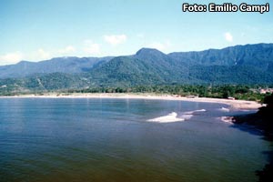 Praia da Moc�ca