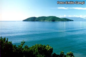 Ilha do Tamandu�