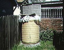 Low Tek Tank