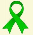 lazo verde