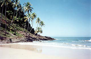 Prainha