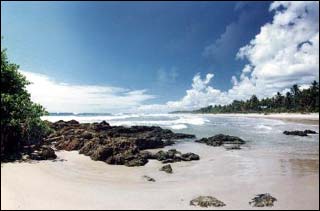 Praia da Camboinha - Itacar&eacute;