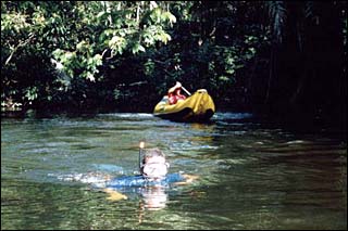 Passeio de Duck