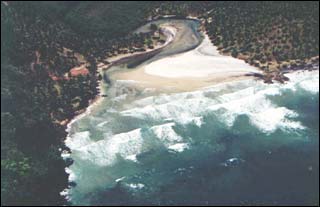 Foto a&eacute;rea da praia do Jeribuca&ccedil;&uacute;