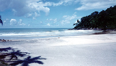 Praia do Jeribuca&ccedil;&uacute;