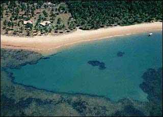 Recife de cor&aacute;is criam gigantes piscinas naturais