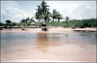 Piracanga