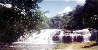 Cachoeira do Tiju&iacute;pe - Itacar&eacute;