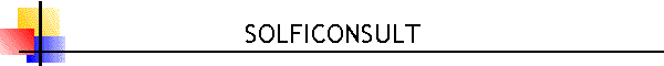 SOLFICONSULT