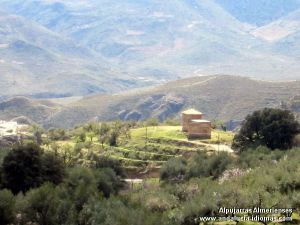 beires2.jpg