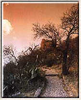 Camino.jpg