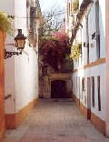 Calle_Juderia_Sevilla.jpg (8299 bytes)