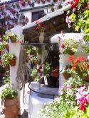 patio1.jpg