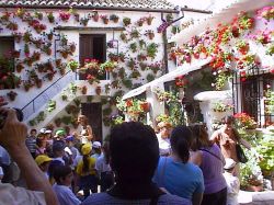 patio2.jpg
