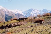 alpujarras2.jpg
