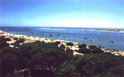 playaHuelva.jpg