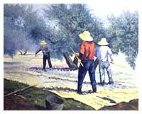 aceituneros.jpg