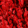 bkgrnd15.gif (12987 bytes)