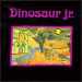 Dinosaur Jr