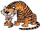 tiger and baby