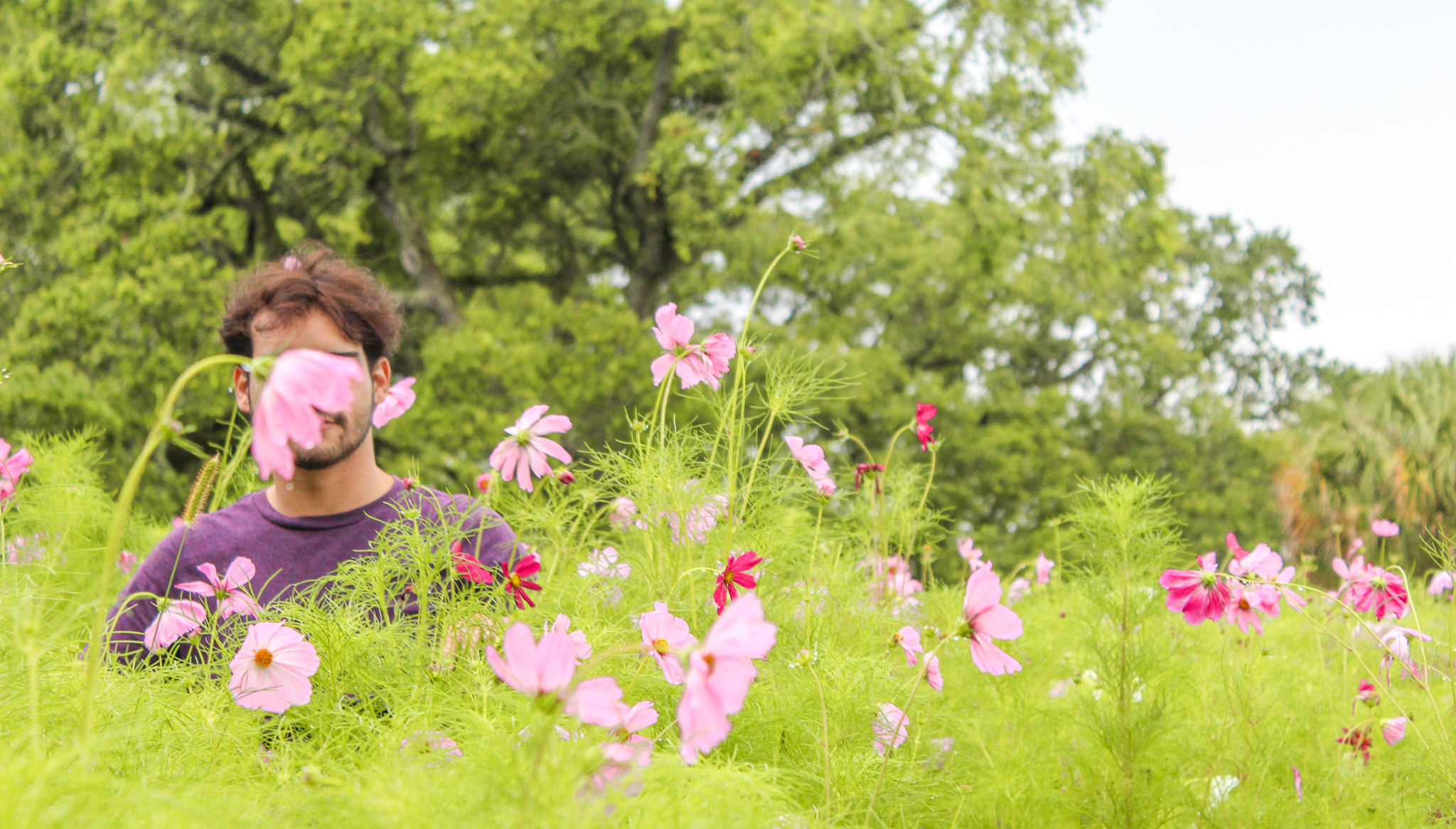 man in flower field with flowers covering his face