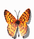11.gif (9949 bytes)