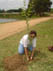 NELCY  planta muda