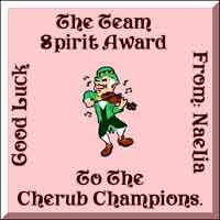 The Team Spirit Award