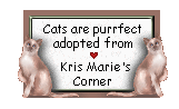 Kris Marie's Corner