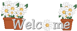 Welcome!