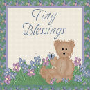 Tiny Blessings