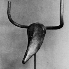 Cabeza de toro