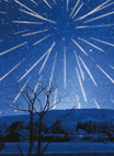 The image is a photo of the Leonid Meteor shower which occurs each year in mid-November.