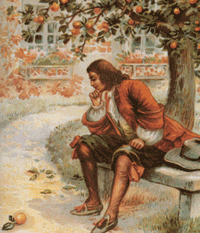 This 19th century engraving shows Newton pondering over an already fallen fruit.